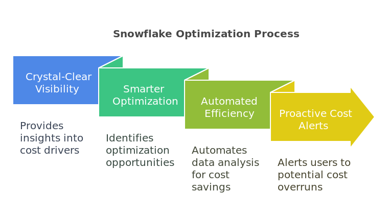 snowflak-process